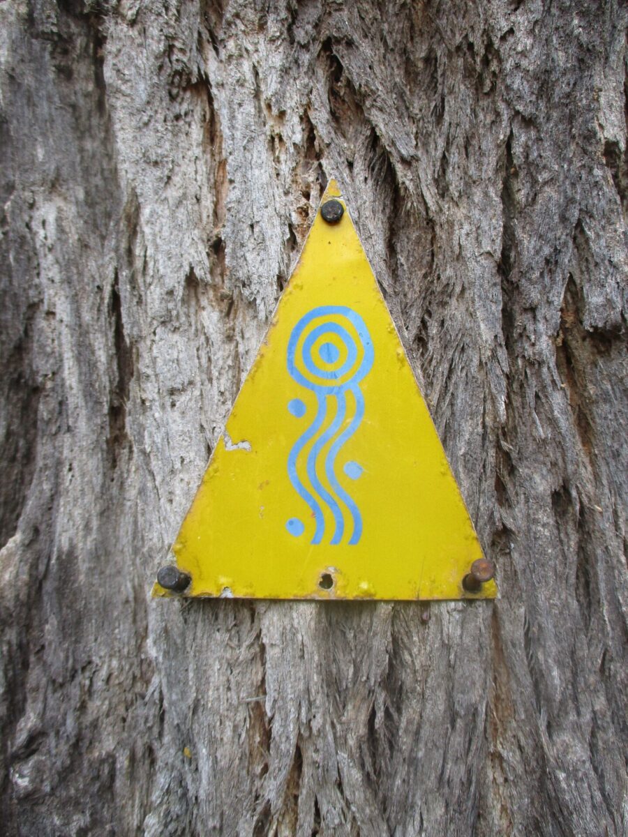 Munda Biddi Trail – Western Australia, Australien