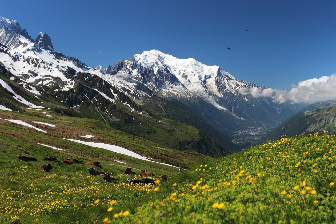 Tour du Mont Blanc
